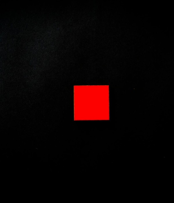 Vivid red square centered on a minimalist black background, creating a striking visual contrast.